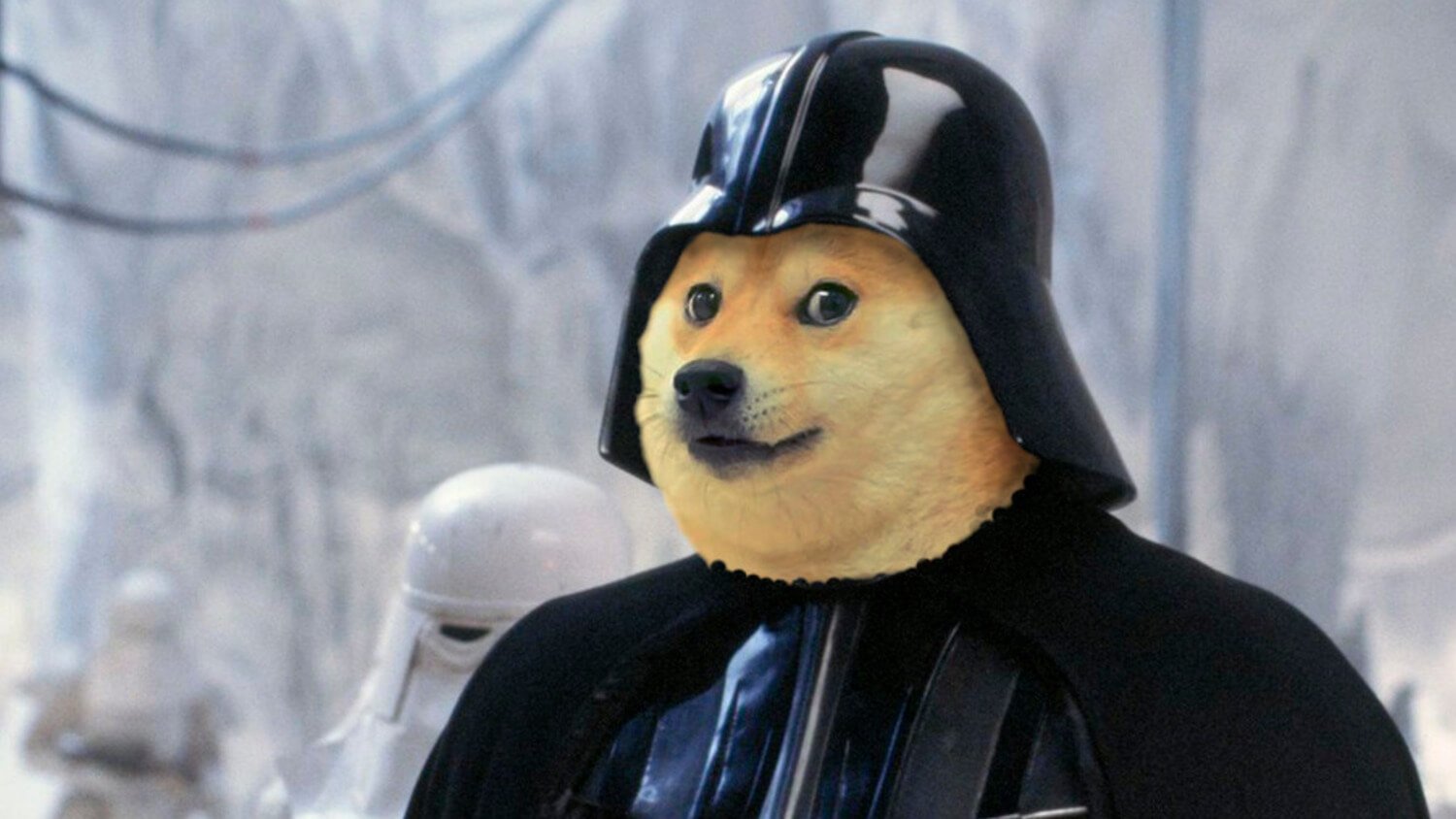 dogecoin криптовалюта альткоин