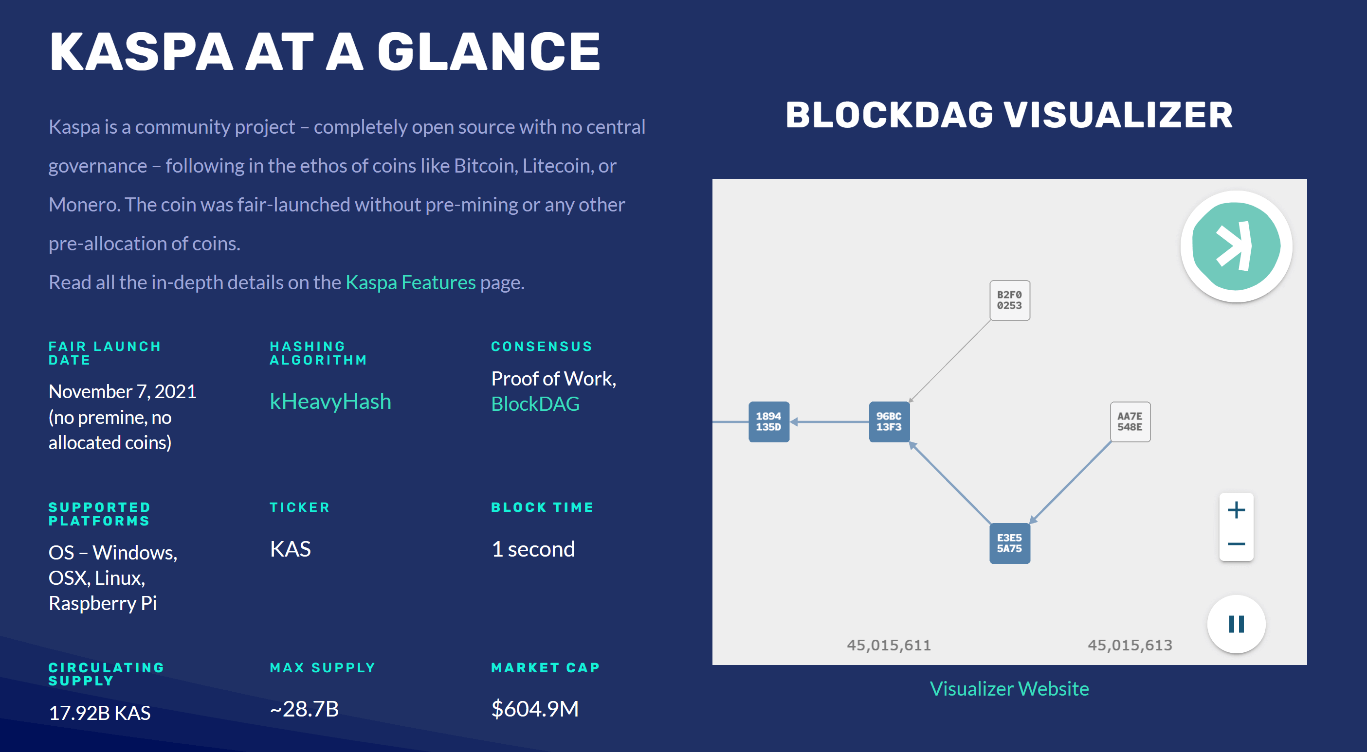 Что такое криптовалюта Kaspa. Платформа Kaspa Visualizer. Фото.