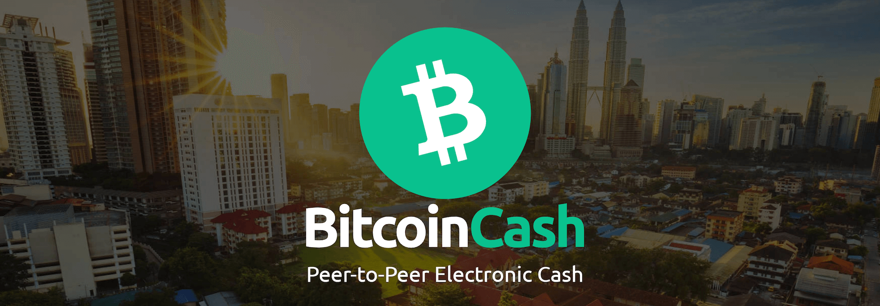 Майнинг Bitcoin Cash. Логотип Bitcoin Cash. Фото.