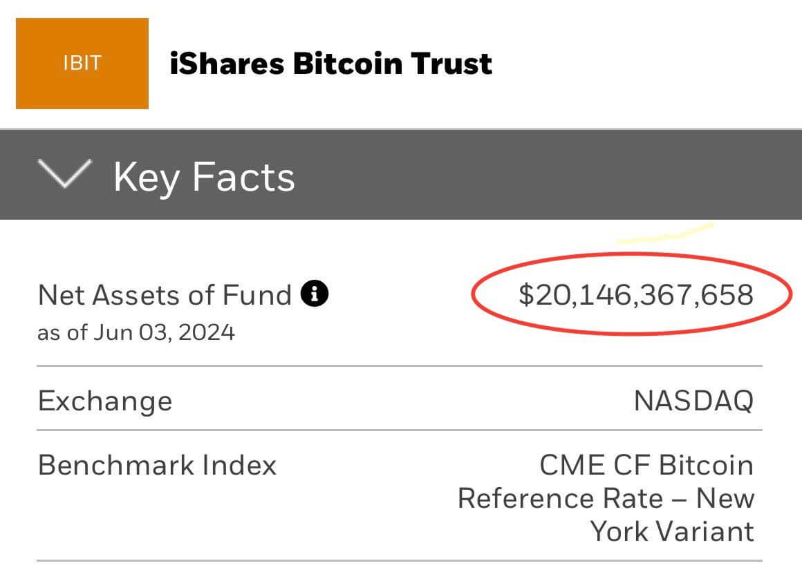 Биткоин-ETF торгуются в США уже почти пять месяцев. Какой капитал привлекли эти инвестиционные инструменты? Рост ценности активов в основе iShares Bitcoin Trust (IBIT) выше 20 миллиардов долларов. Фото.