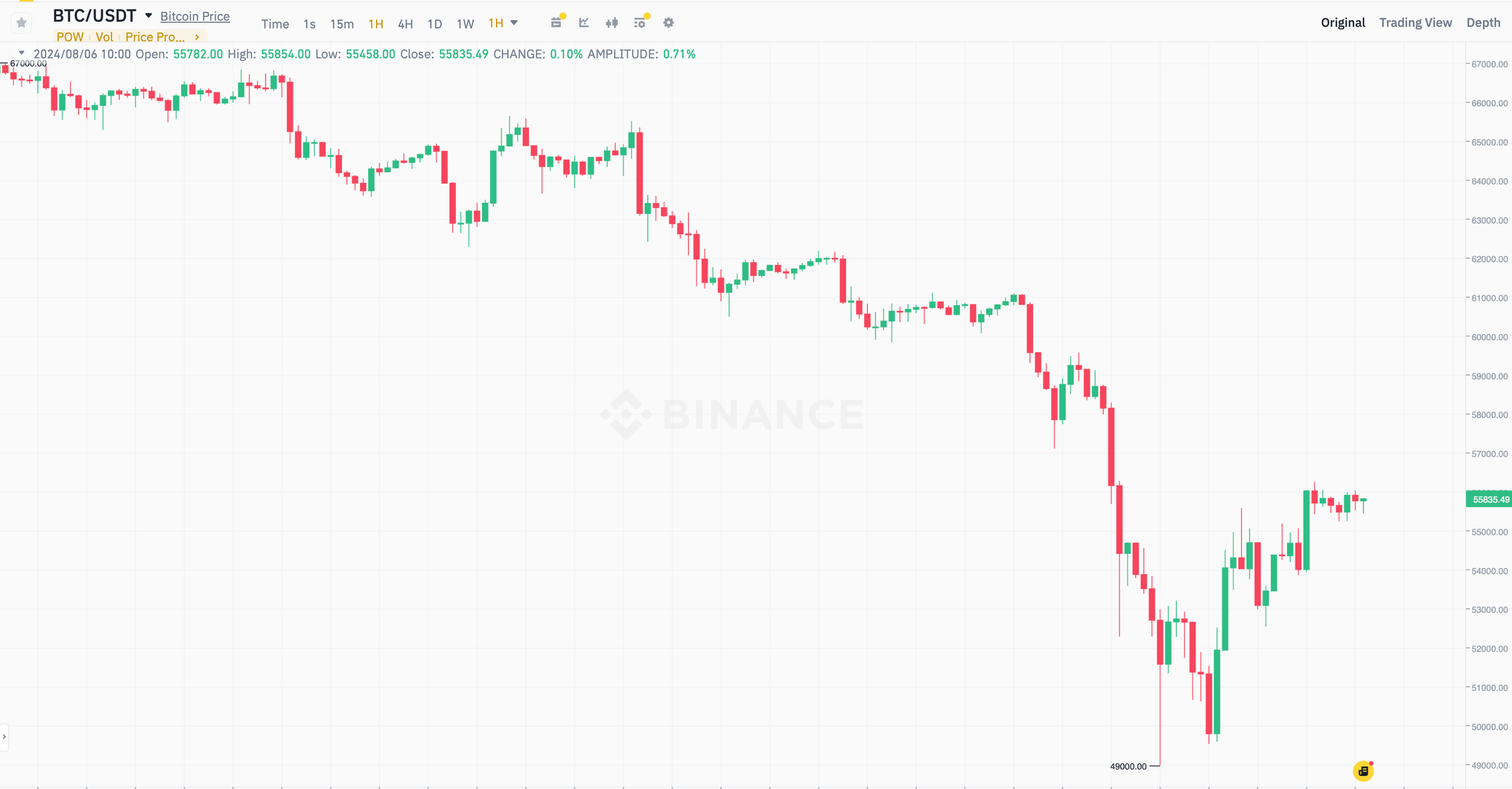 Сколько будет стоить Биткоин? Часовой график курса Биткоина BTC. Фото.