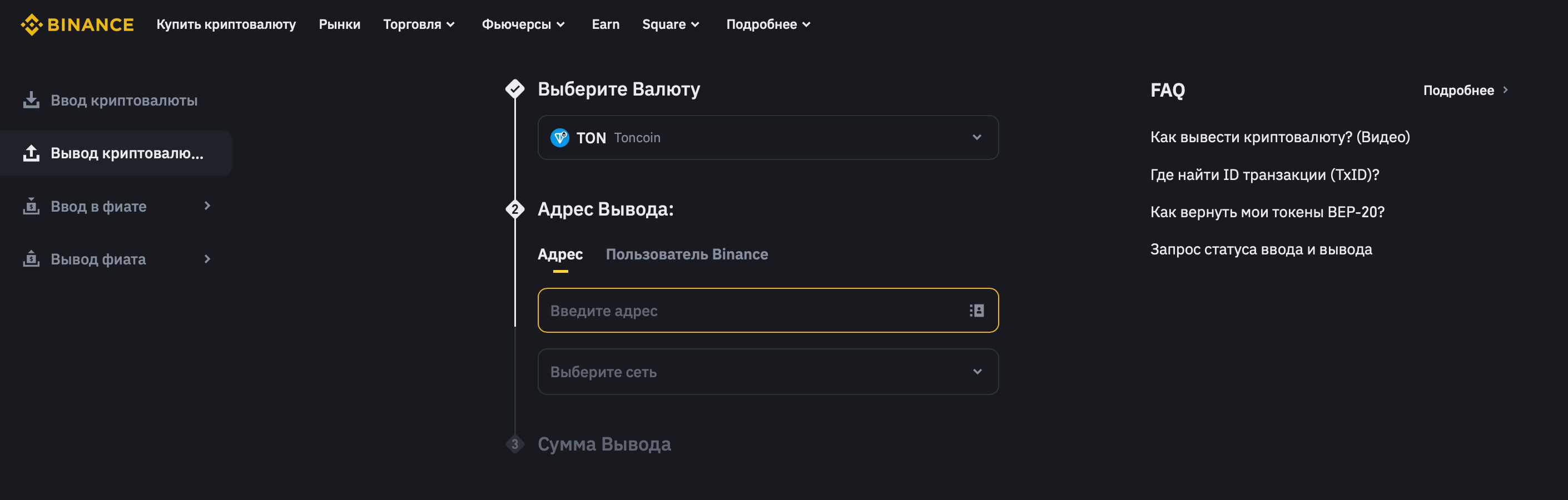 Как вывести деньги с Хомяка: выводим TON с биржи. Окно вывода криптовалюты TON с биржи Binance. Фото.