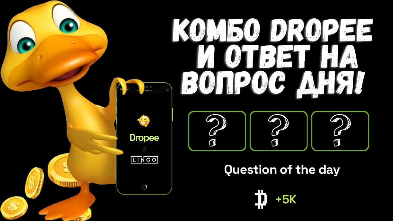 Dropee комбо 19 ноября