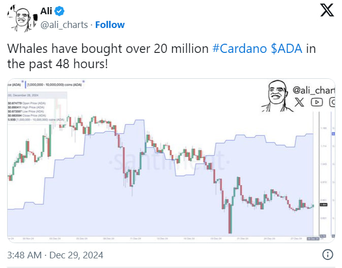 Прогноз Cardano: поднимется ли ADA до $1,50 или упадет к $0,70?
