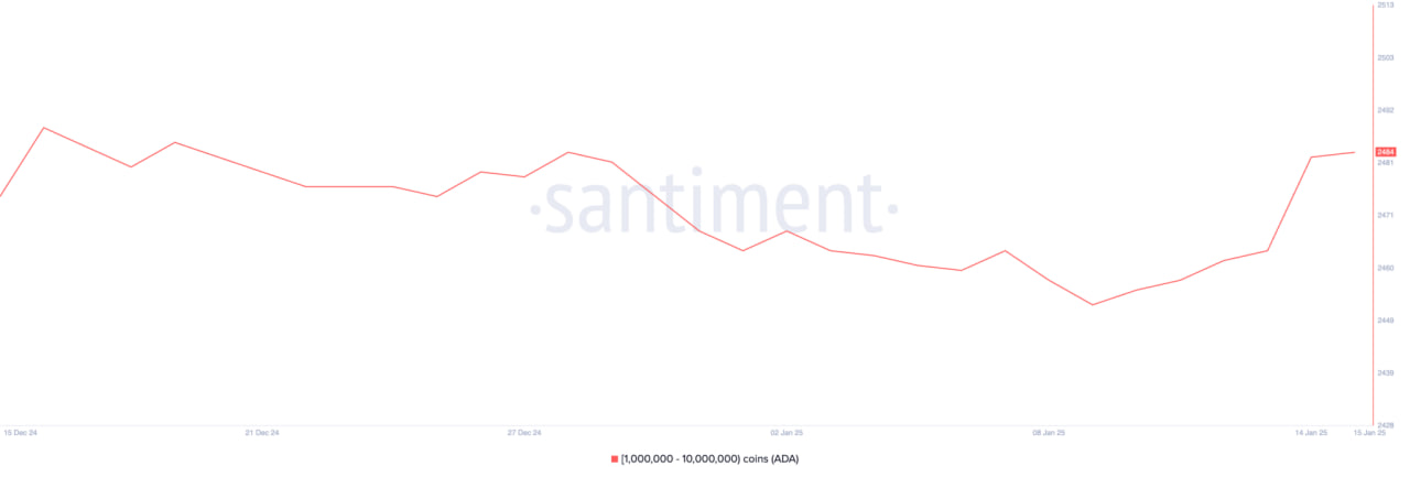 photo_2025-01-17_15-10-12 Cardano (ADA) вырос на 7% благодаря накоплению крупными инвесторами