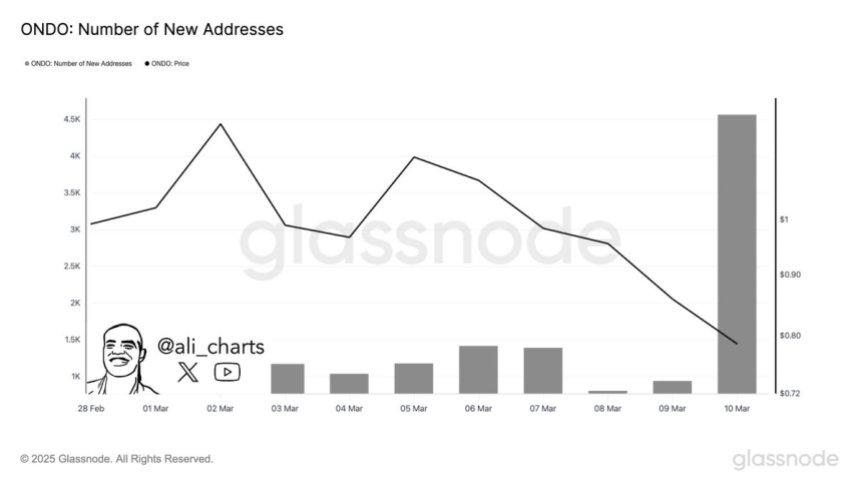 ondo adresses growth ondo-adresses-growth