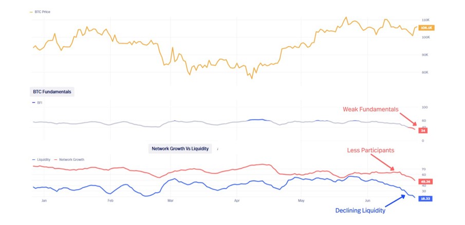 Network growth vs liquidity network-growth-vs-liquidity