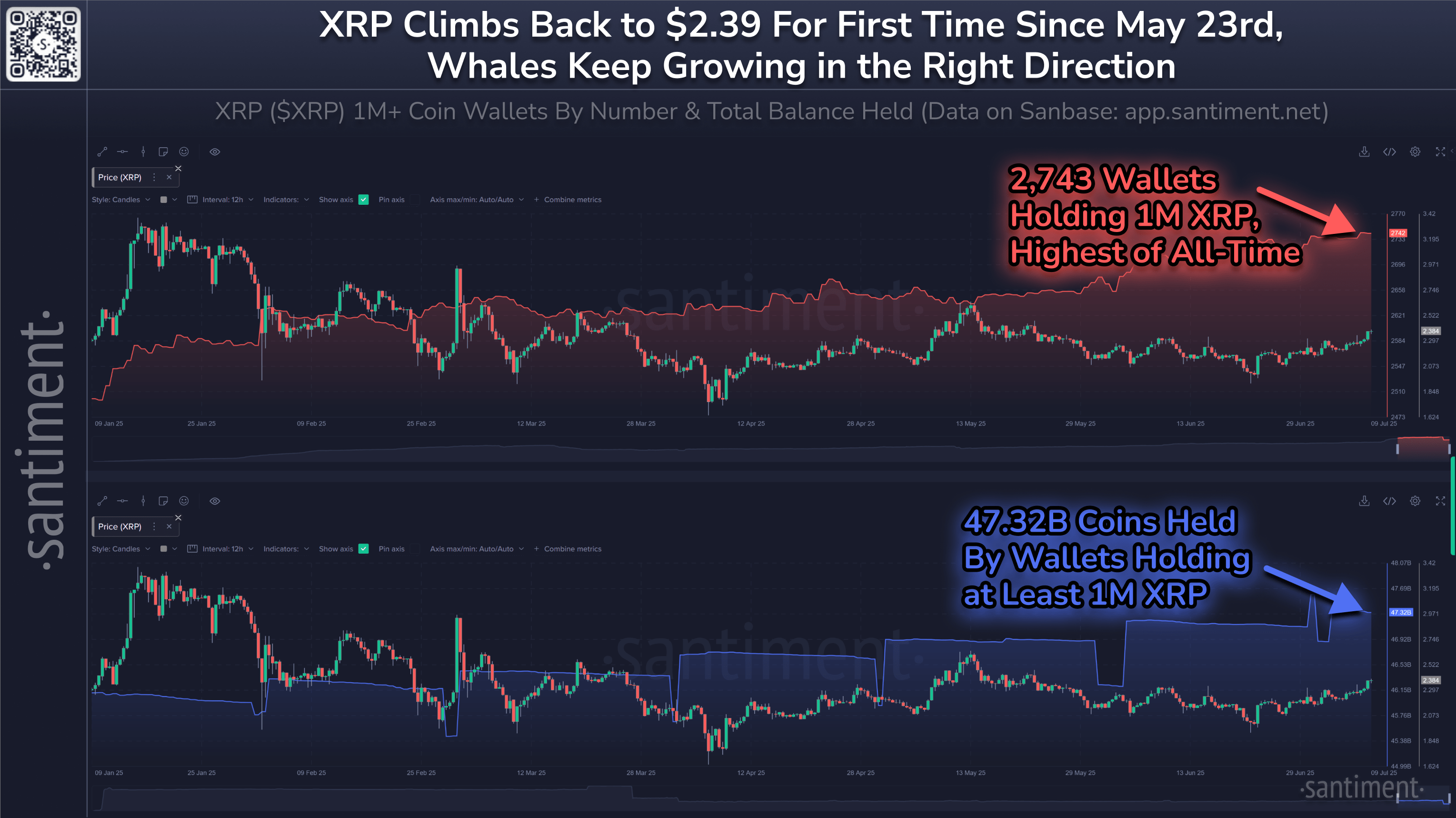 Santiment XRP whale address accumulation