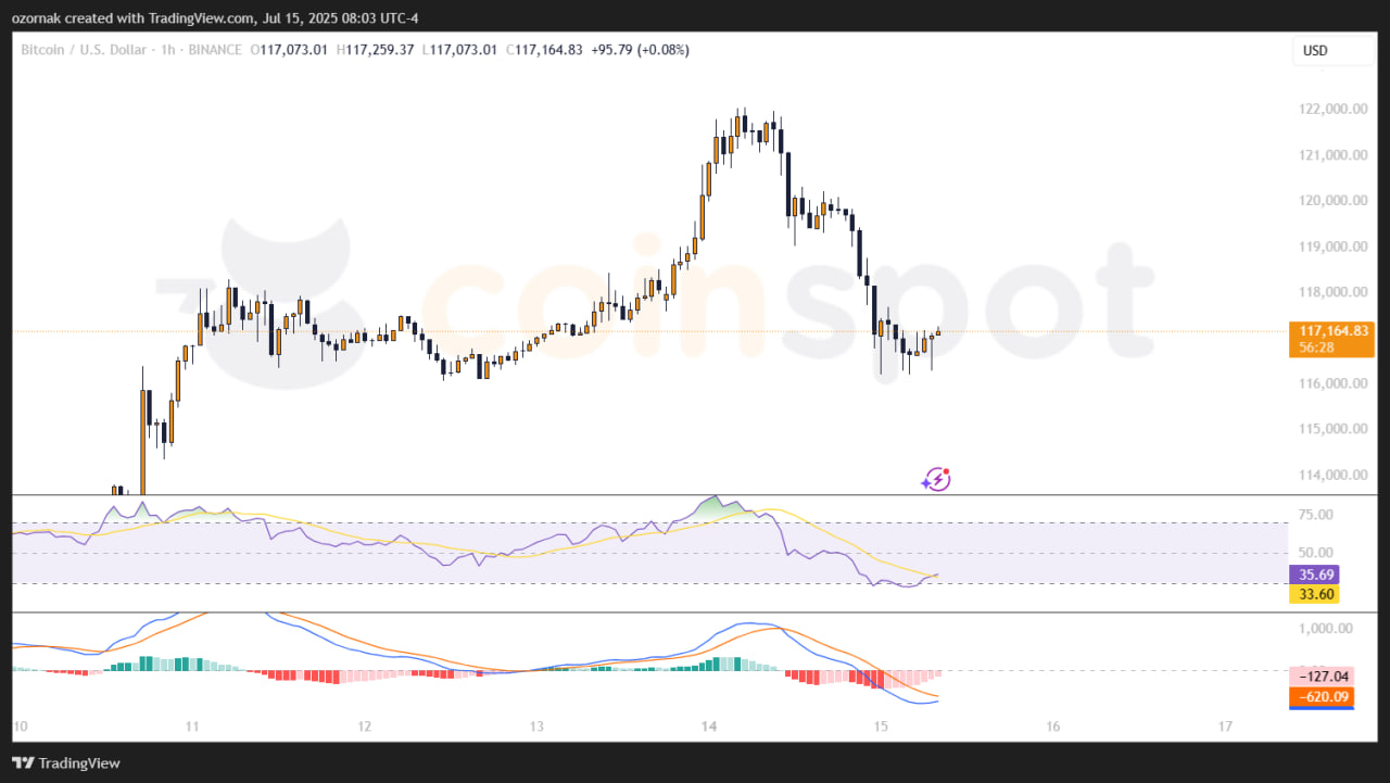 photo_2025-07-15_15-03-35 Биткоин снижается после перевода 17 000 BTC со «спящего» адреса