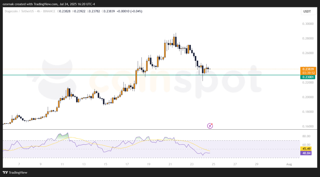 photo_2025-07-24_23-20-13 Dogecoin падает на 11% на фоне институциональных продаж и волатильности на рынке