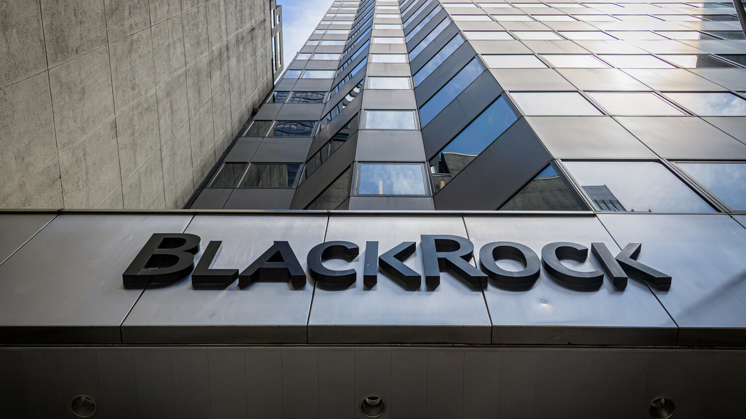 Отношение Vanguard к криптовалютам. Логотип фонда BlackRock. Фото.