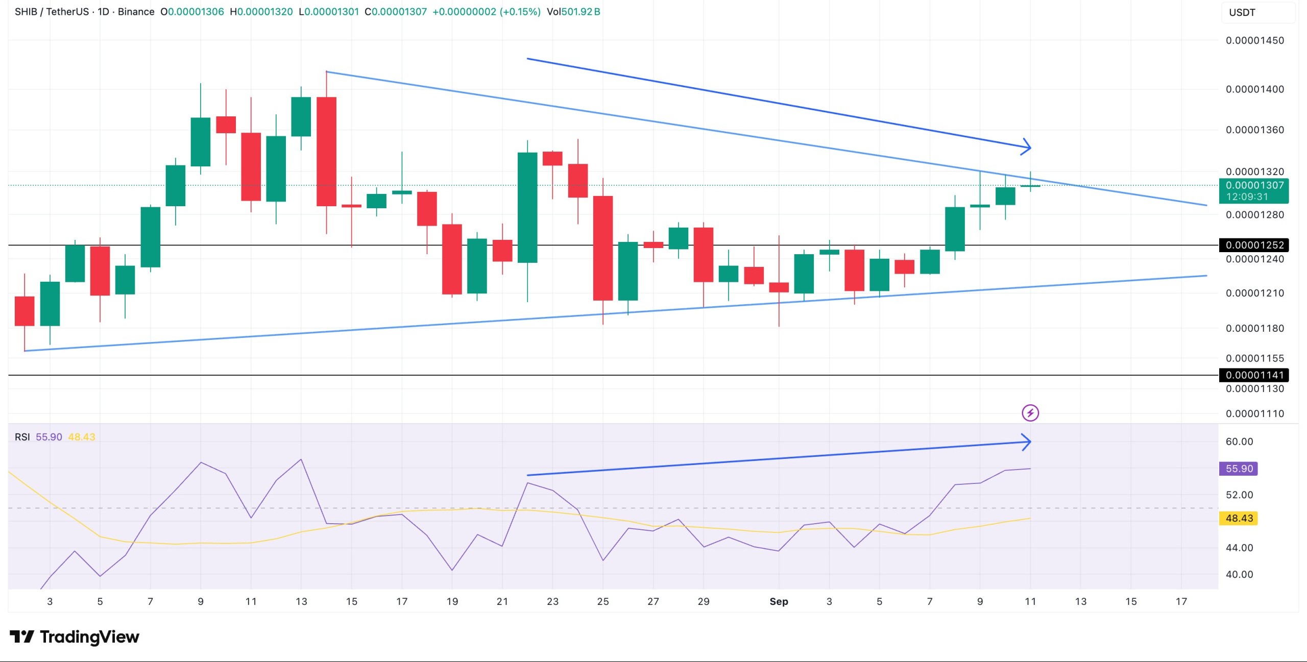 shib-pattern-and-divergence
