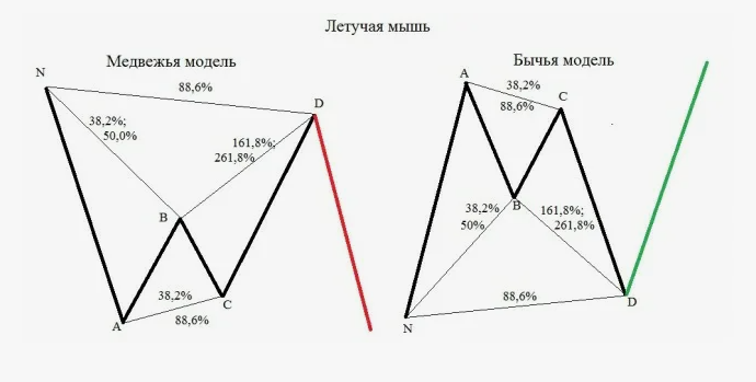 image1 Летучая мышь