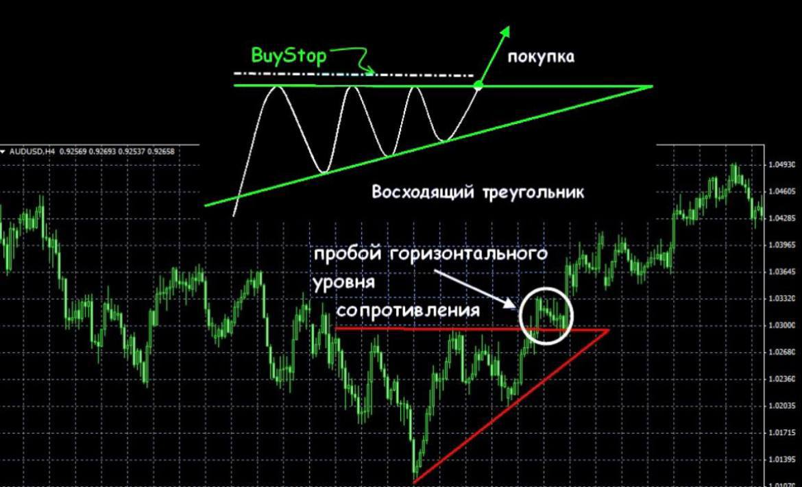 image6 восходящий lsiшник