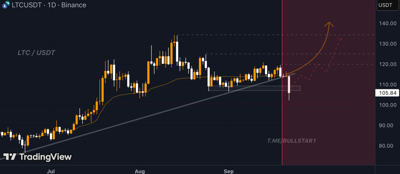 photo_2025-09-23_15-14-24 Litecoin набирает обороты на фоне ETF-заявки и активности китов
