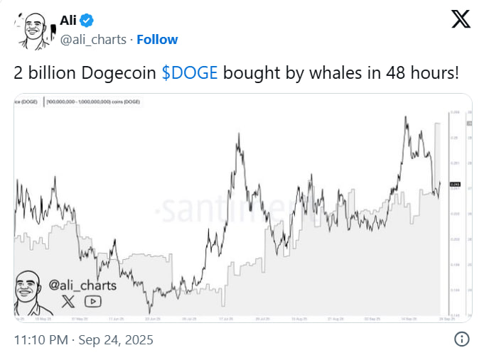 photo_2025-09-25_19-15-26 По данным с блокчейна, основное накопление DOGE пришлось на момент снижения курса к $0,245.