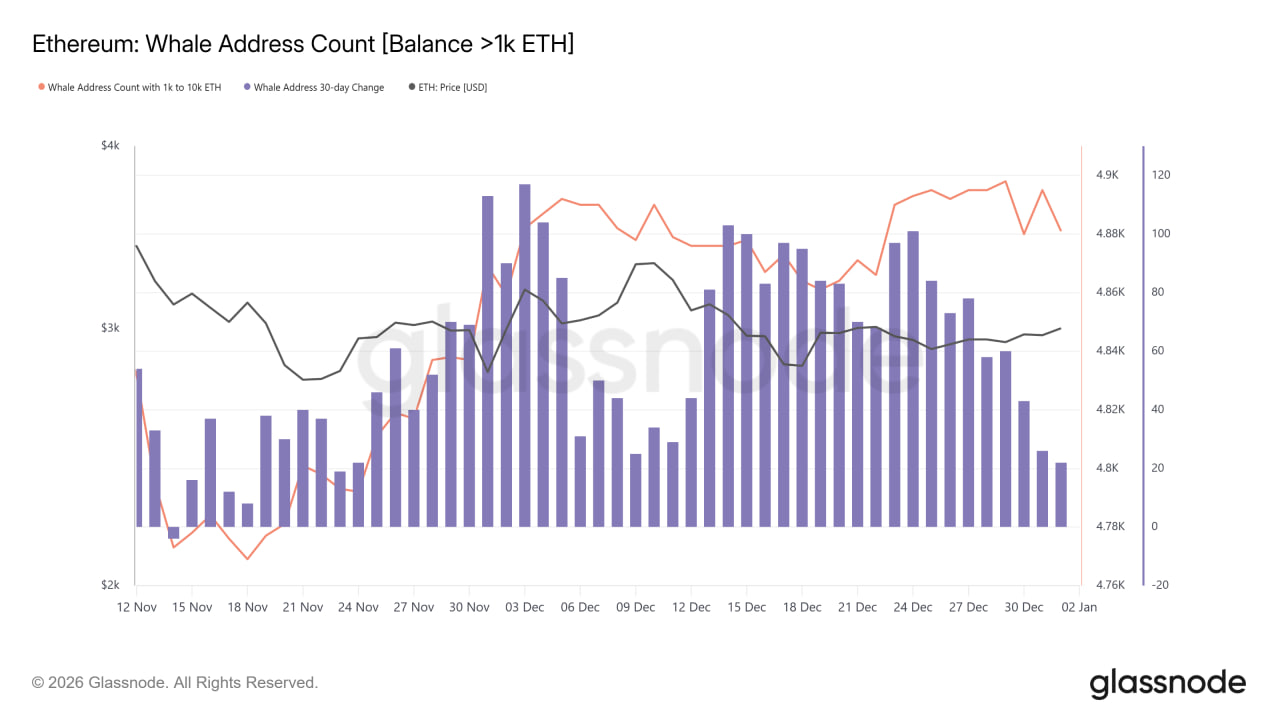 photo_1_2026-01-03_02-02-46 Данные по крупным адресам Ethereum показывают снижение их активности в рамках месяца.