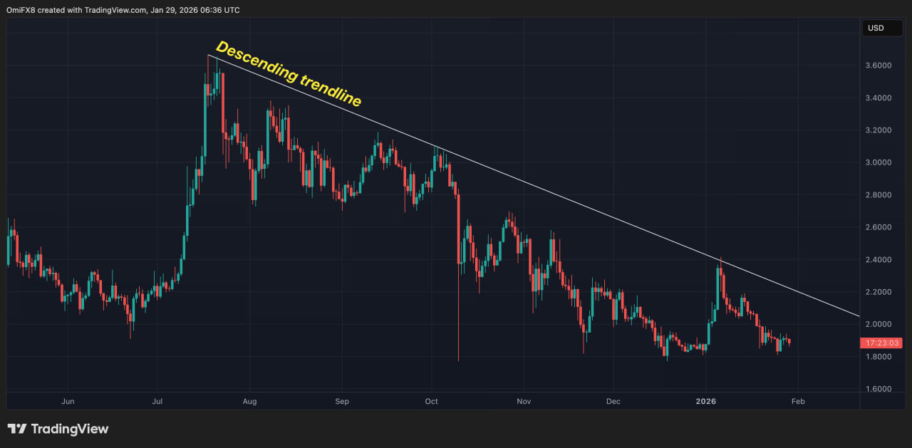 photo_2026-01-30_11-08-45 Число крупных кошельков XRP снова растет, несмотря на слабую цену