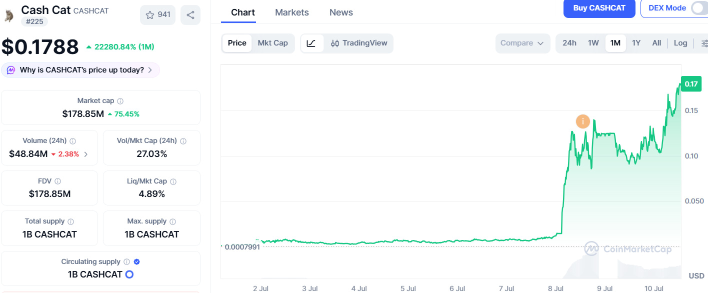 Cash-Cat-Price-Performance Cash Cat Price Performance