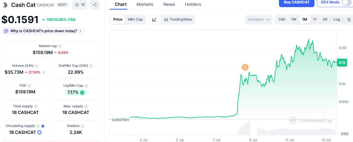 Cash-Cat-Price-Performance Cash Cat Price Performance